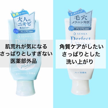 パーフェクトホワイトクレイ/SENKA（専科）/洗顔フォームを使ったクチコミ（5枚目）