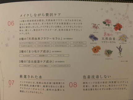 スキルレスライナー/LUMIURGLAS/リキッドアイライナーを使ったクチコミ(7枚目)