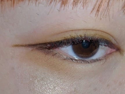 パーフェクトマルチアイズ/キャンメイク/アイシャドウパレットを使ったクチコミ(3枚目)