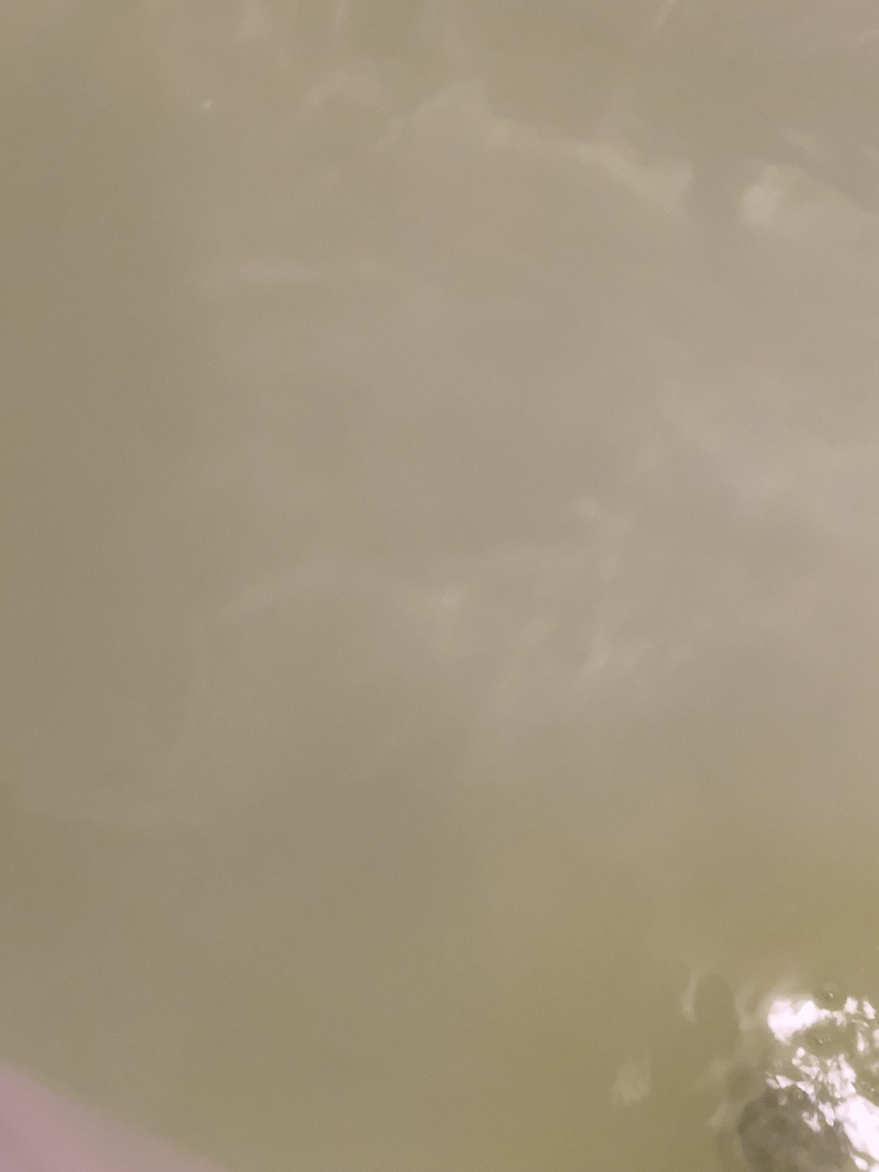 バブベルガモットジンジャーの香り/バブ/炭酸系入浴剤を使ったクチコミ（3枚目）