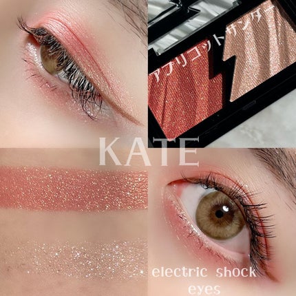 エレクトリックショックアイズ /KATE/アイシャドウパレットを使ったクチコミ(1枚目)