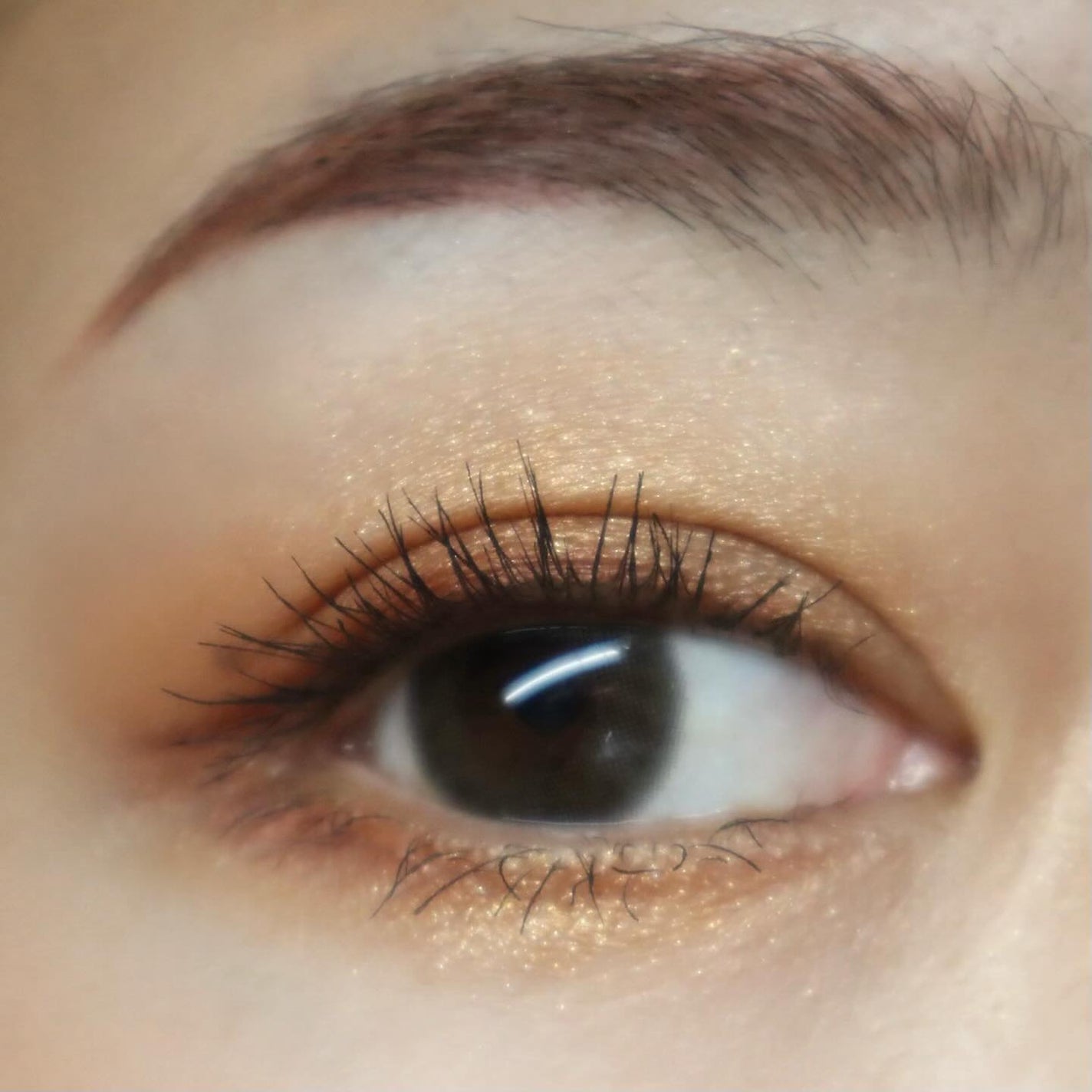 RMK シンクロマティック アイシャドウパレット/RMK/アイシャドウパレットを使ったクチコミ(6枚目)