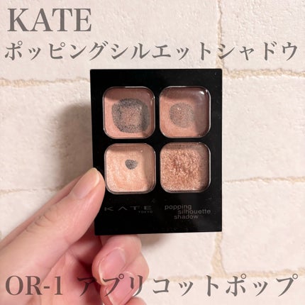 ケイト ポッピングシルエットシャドウ/KATE/アイシャドウパレットを使ったクチコミ(1枚目)