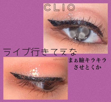 プロ アイ パレット/CLIO/アイシャドウパレットを使ったクチコミ（1枚目）