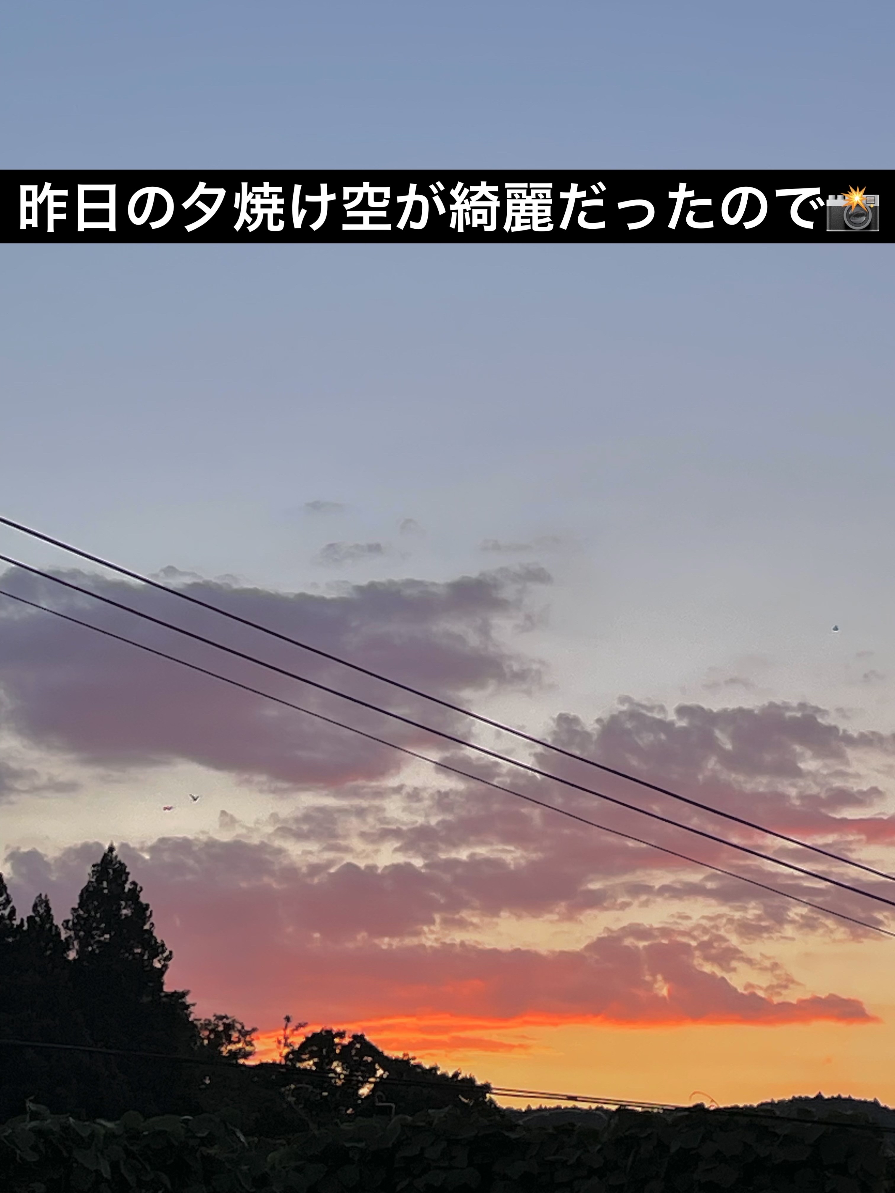 ケイト リップモンスター/KATE/口紅を使ったクチコミ（2枚目）