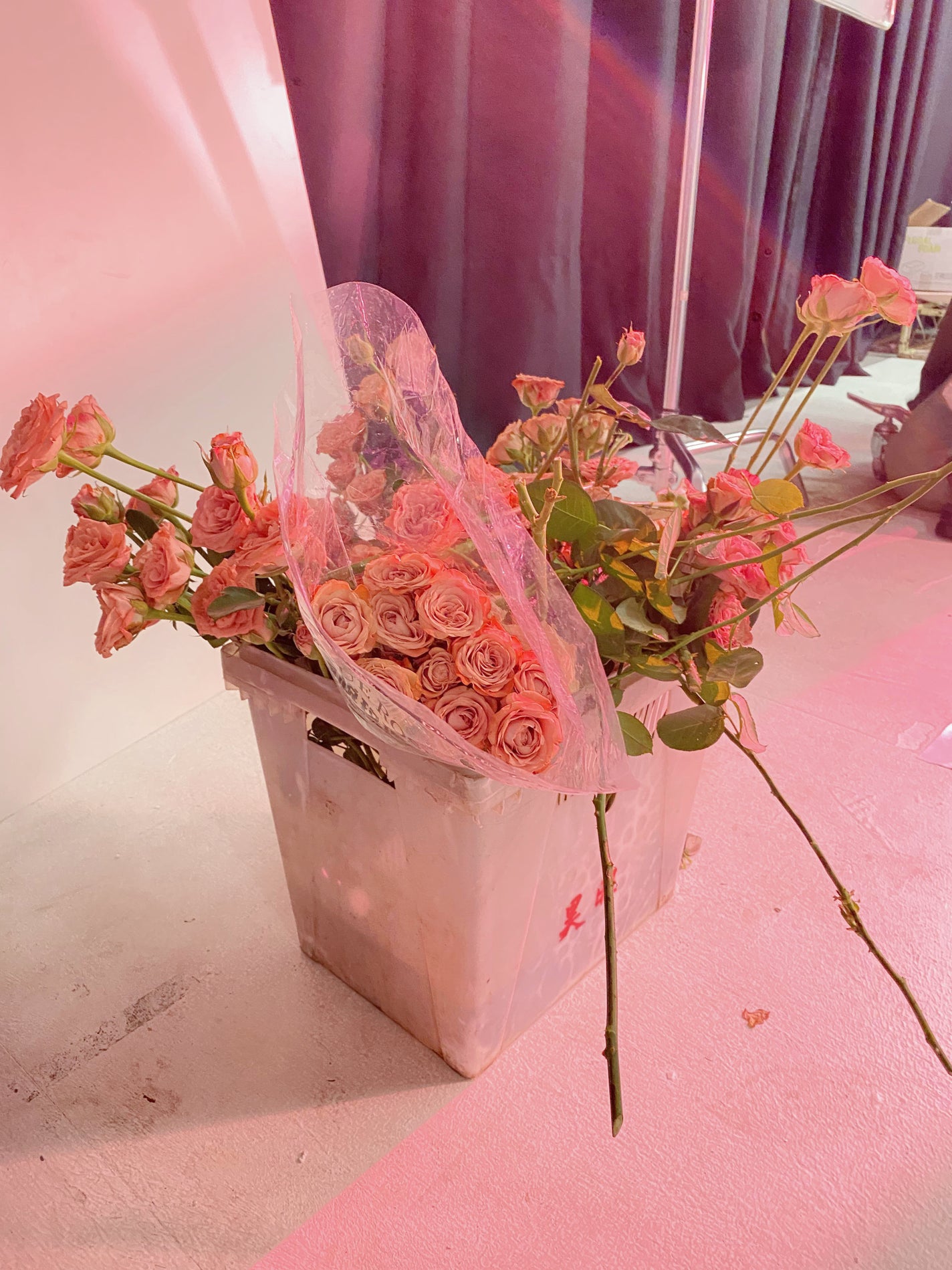 エクスプローラ12色 動物アイシャドウパレット/PERFECT DIARY/アイシャドウパレットを使ったクチコミ(4枚目)