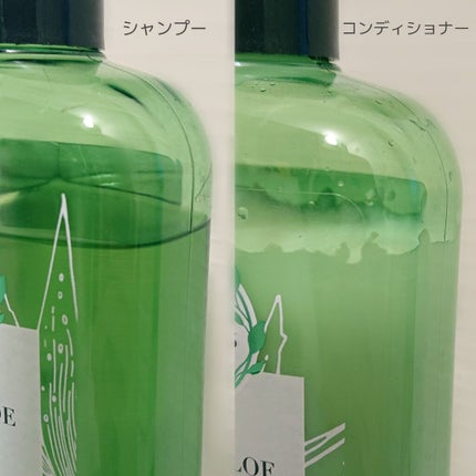 ビオリニュー アロエ&マンゴー シャンプー/コンディショナー/ハーバルエッセンス/市販シャンプーを使ったクチコミ(2枚目)