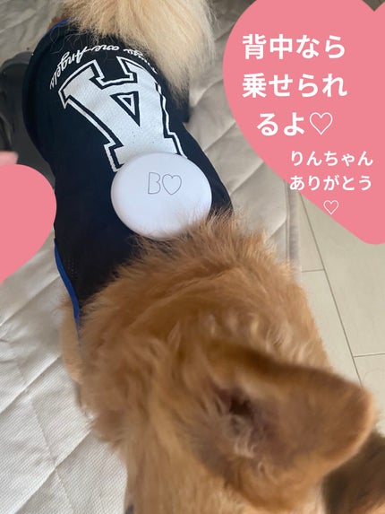 アプリ肌パウダー/b idol/プレストパウダーを使ったクチコミ(4枚目)