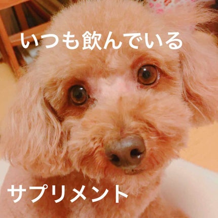 ビタミンC・E・A/Dear-Natura (ディアナチュラ)/健康サプリメントを使ったクチコミ(1枚目)