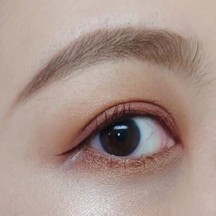 レ キャトル ルージュ ユー エ ジュ /CHANEL/アイシャドウパレットを使ったクチコミ(5枚目)