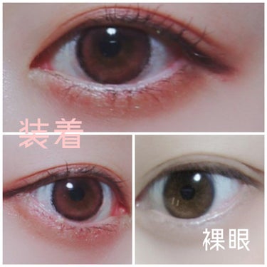 eye closet iDOL Series CANNA ROSE 1day/EYE CLOSET/カラーコンタクトレンズを使ったクチコミ（3枚目）