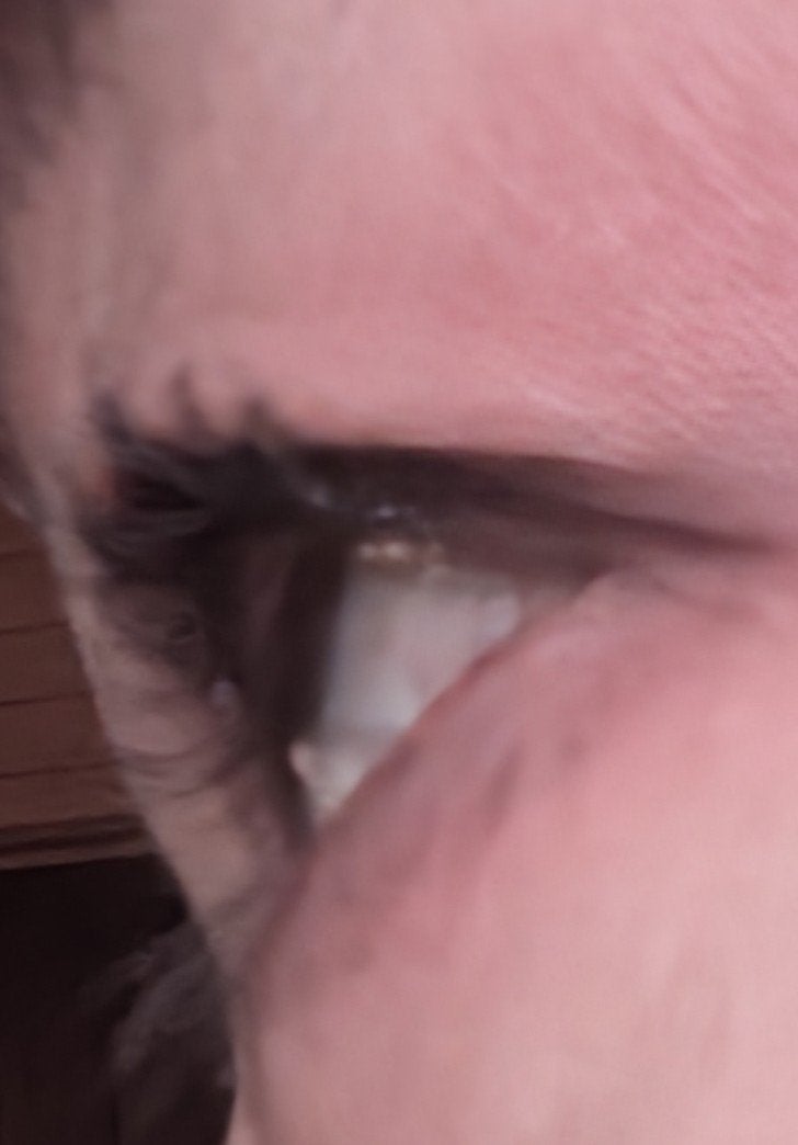 PRETTY EYES/xixi/リキッドアイライナーを使ったクチコミ(4枚目)