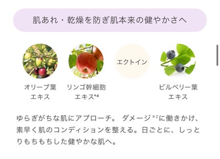 リズムコンセントレートα/AYURA/美容液を使ったクチコミ(2枚目)