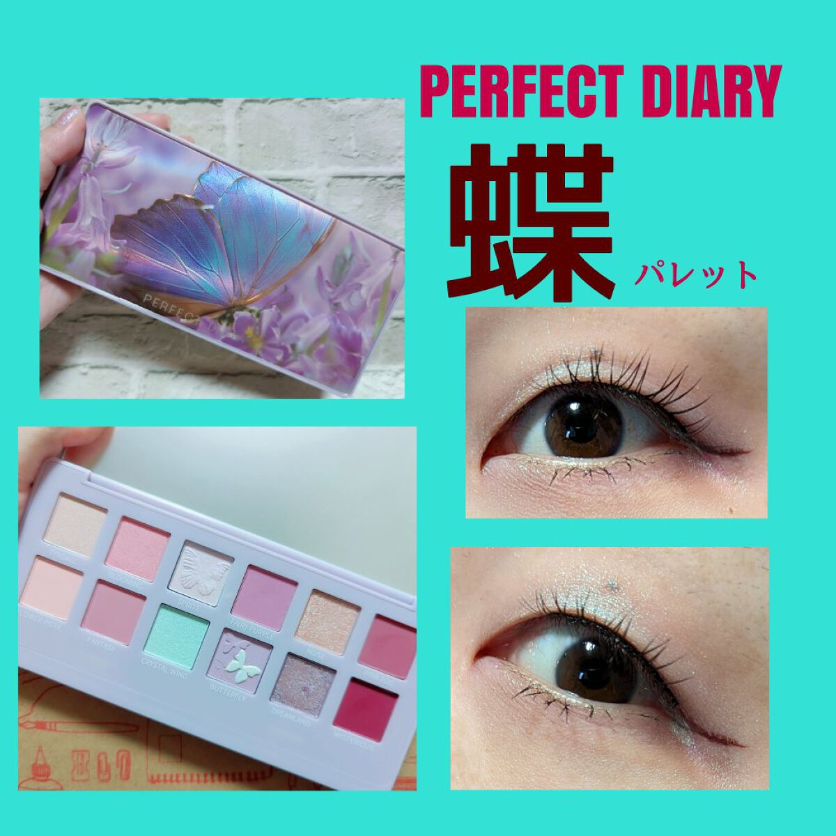 エクスプローラ12色 動物アイシャドウパレット/PERFECT DIARY/アイシャドウパレットを使ったクチコミ（1枚目）