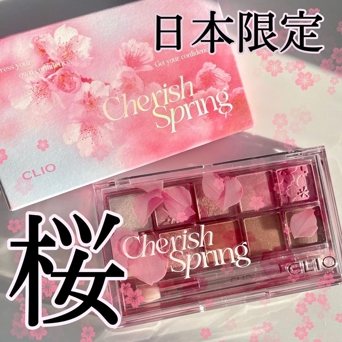 プロ アイ パレット/CLIO/アイシャドウパレットを使ったクチコミ（1枚目）