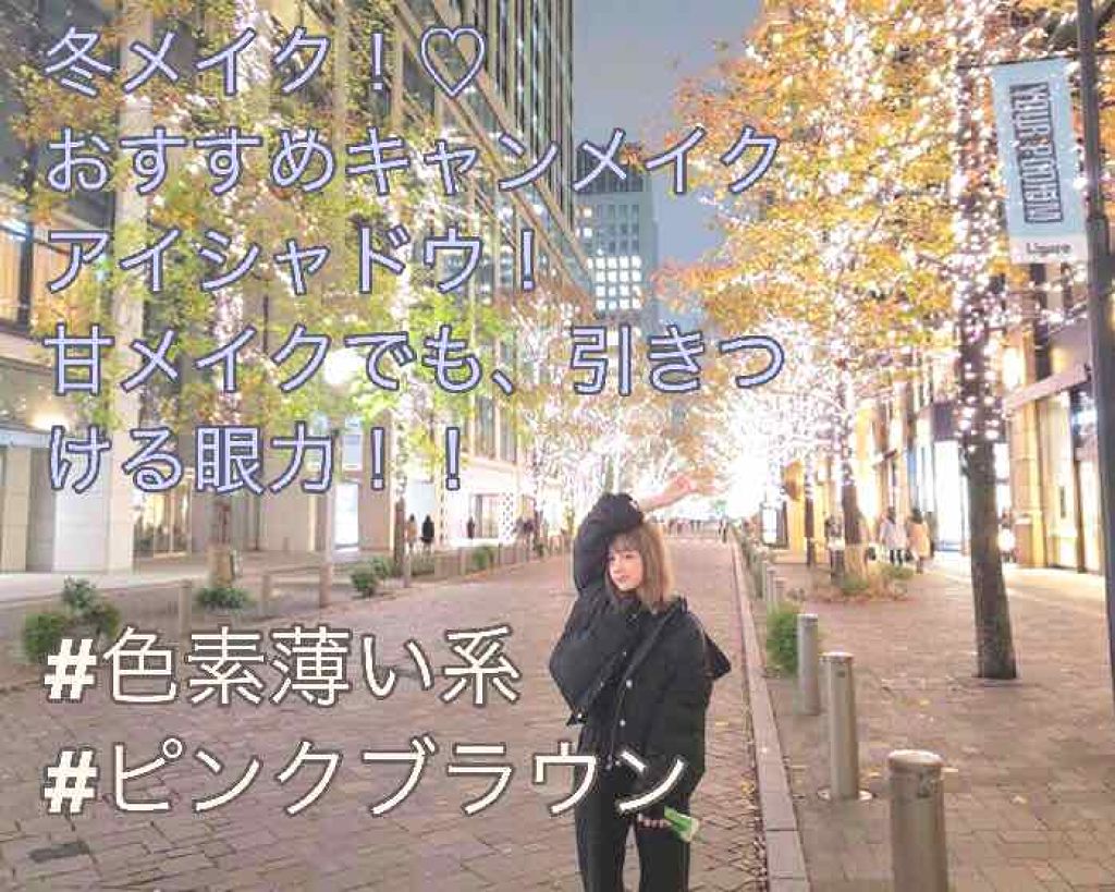 【旧品】パーフェクトスタイリストアイズ/キャンメイク/アイシャドウパレットを使ったクチコミ（1枚目）