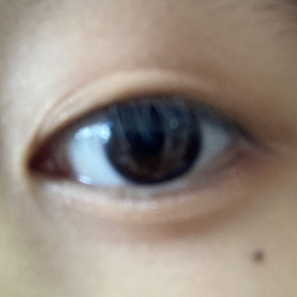 プロ アイ パレット/CLIO/アイシャドウパレットを使ったクチコミ（2枚目）