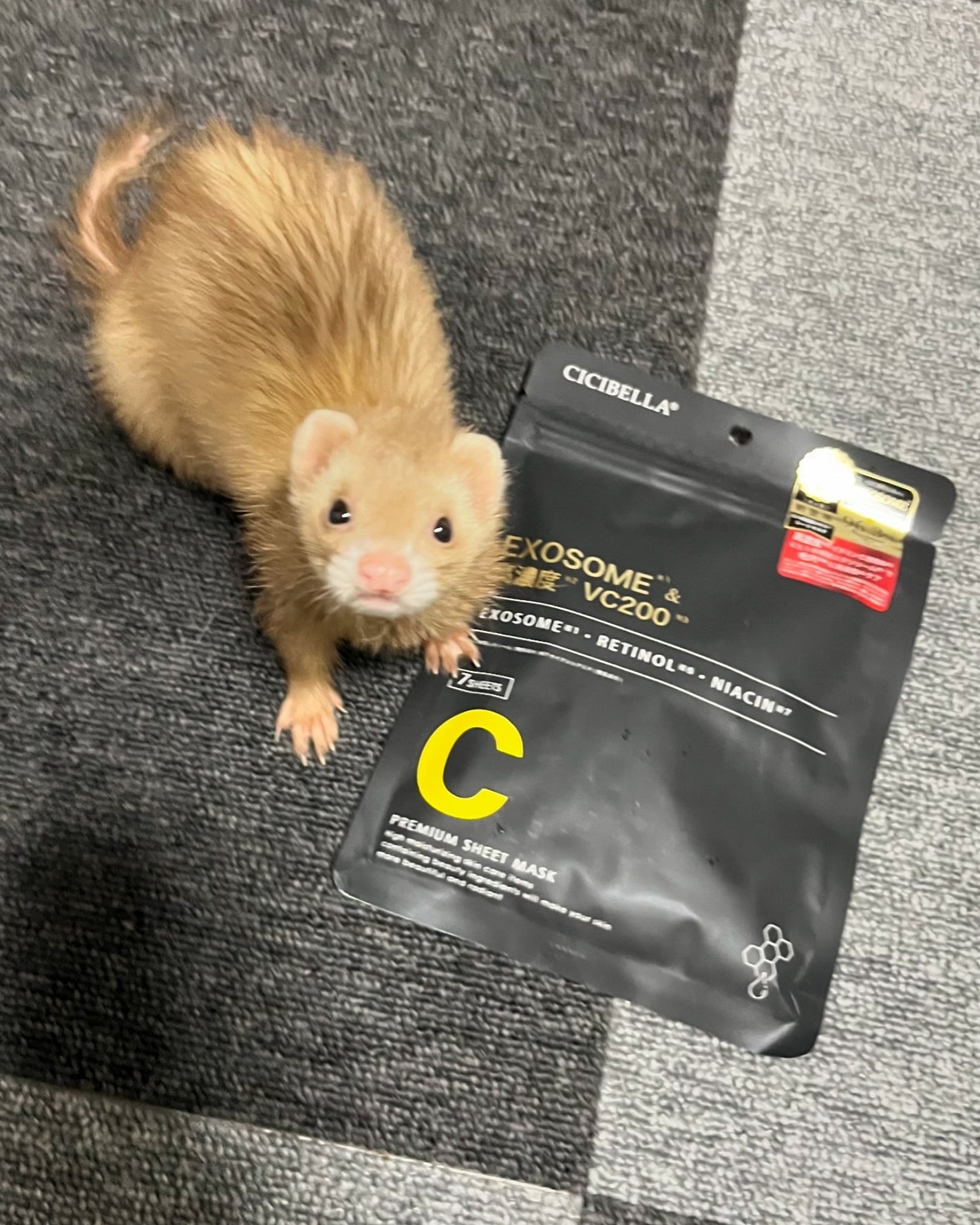シートマスク ヒト幹細胞×VC200/CICIBELLA/シートマスク・パックを使ったクチコミ(4枚目)