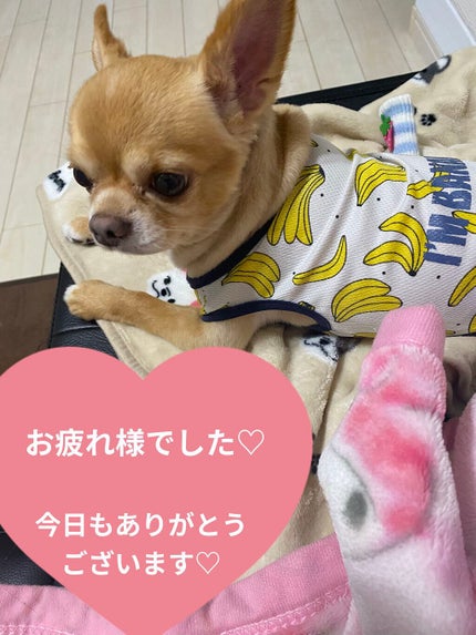 ワンダーハニー とろとろふんわりクリームバス ピュアキンモクセイ/VECUA Honey/炭酸系入浴剤を使ったクチコミ(6枚目)