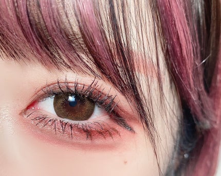 シルキースフレアイズ(マットタイプ)/キャンメイク/アイシャドウパレットを使ったクチコミ(2枚目)