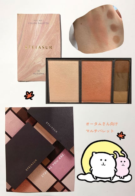 フィット my カラーパレット/STEIASUR(ステイアシュール)/マルチパレットを使ったクチコミ(1枚目)