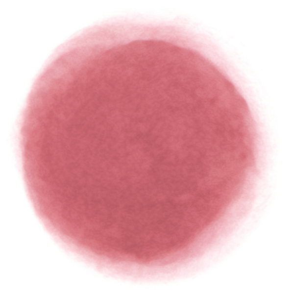 フィー リップアンドチーク ブラーリープリンポット PK05 サムシング