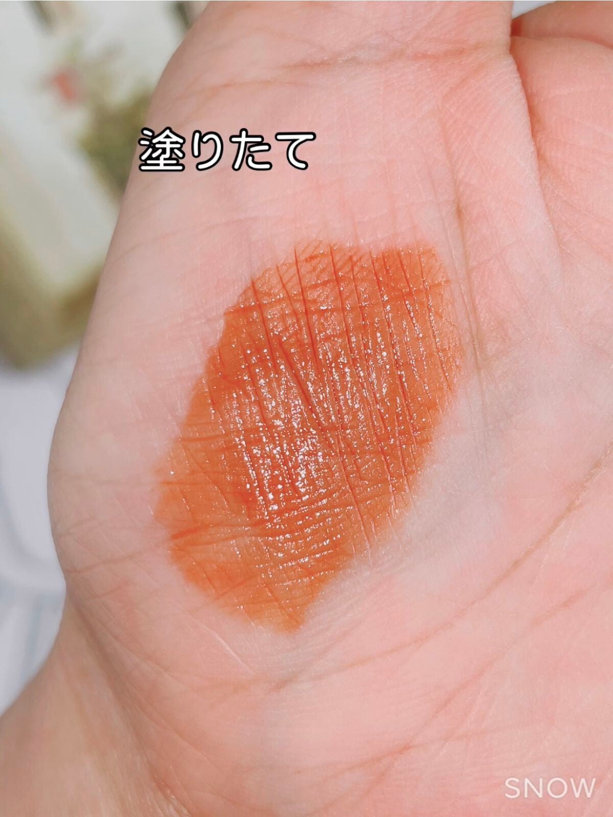 パル リップティント キャンドゥ