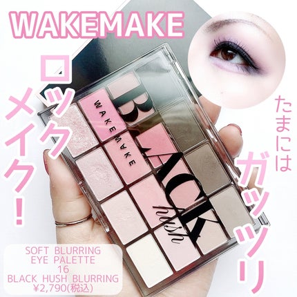 ソフトブラーリングアイパレット/wakemake/アイシャドウパレットを使ったクチコミ(1枚目)
