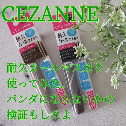 耐久カールマスカラ/CEZANNE/マスカラを使ったクチコミ(1枚目)