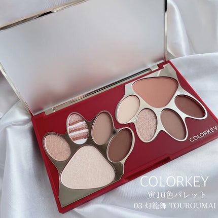 トラ十色アイシャドウパレット/COLORKEY/アイシャドウパレットを使ったクチコミ(6枚目)