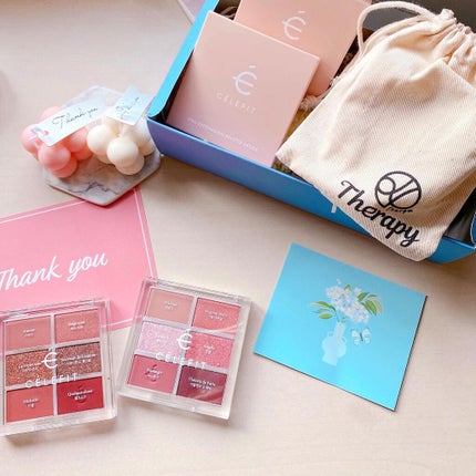 プロアイシャドウパレットセシル/CELEFIT/アイシャドウパレットを使ったクチコミ(9枚目)