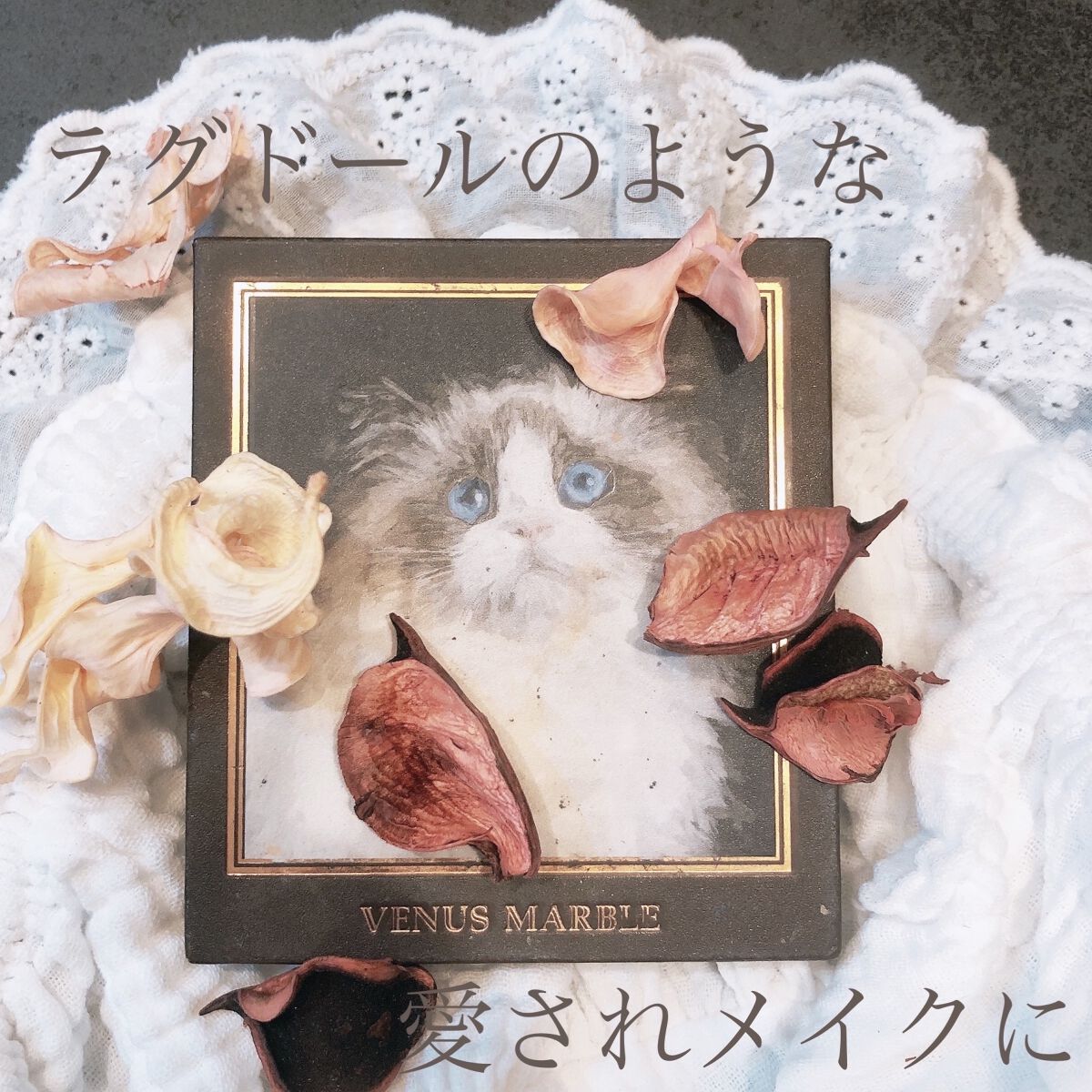 Venus Marble アイシャドウキャットシリーズ/Venus Marble/アイシャドウパレットを使ったクチコミ（1枚目）