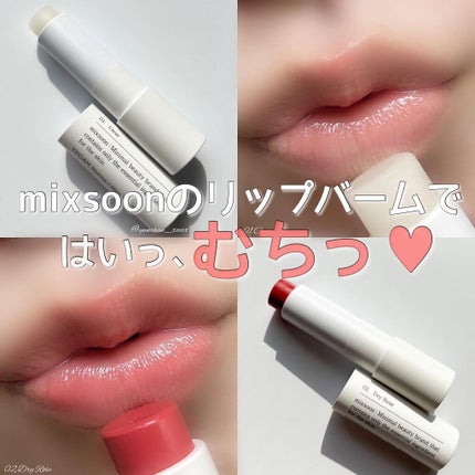 ヴィーガン メルティング リップバーム/mixsoon/リップバームを使ったクチコミ(1枚目)