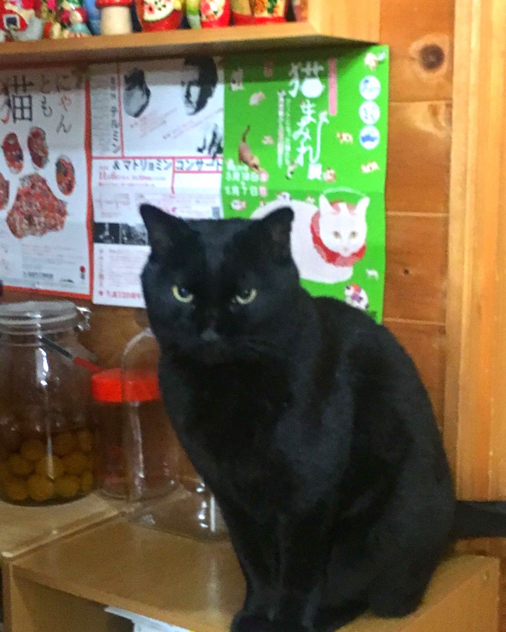 ナイーブピュア 泡ボディソープ/ナイーブ/ボディソープを使ったクチコミ(4枚目)