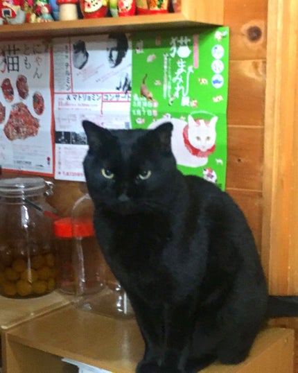 ナイーブピュア 泡ボディソープ/ナイーブ/ボディソープを使ったクチコミ(4枚目)