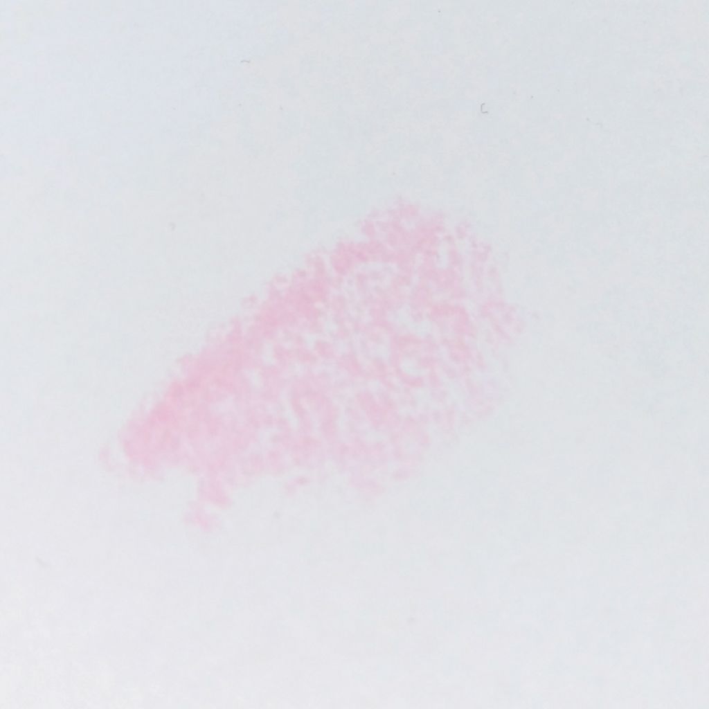 フェイクヌードリップ/素肌記念日/リップティントを使ったクチコミ(3枚目)