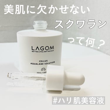 ラゴム アクアレンソリューション/LAGOM /美容液を使ったクチコミ（1枚目）