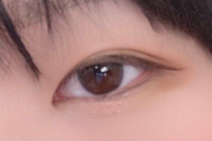 ねこさん on LIPS 「お仕事メイク💄前回の投稿でも話した通り、#aZTKの4色アイシ..」(3枚目)