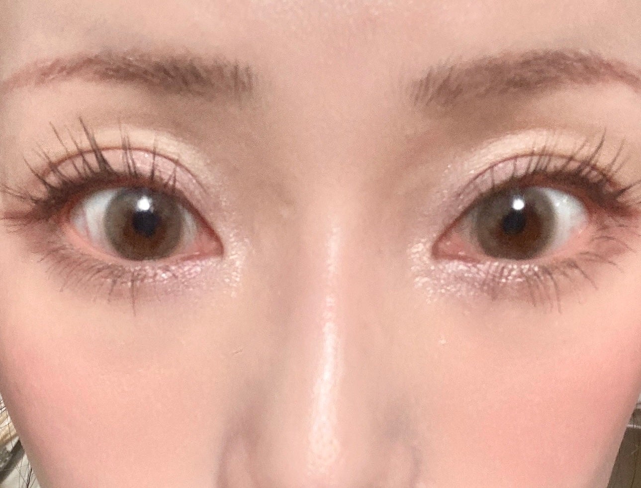 シルキースフレアイズ/キャンメイク/アイシャドウパレットを使ったクチコミ(1枚目)