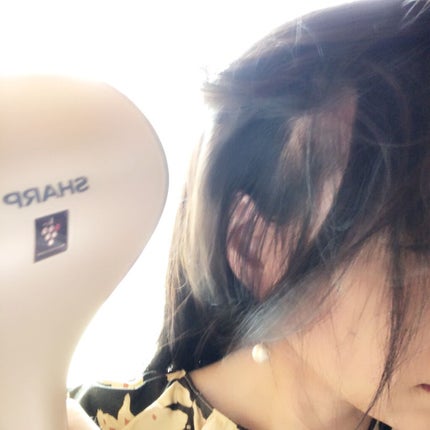 プラズマクラスタードレープフロードライヤー<IB-WX1>/シャープ/ドライヤーを使ったクチコミ(3枚目)