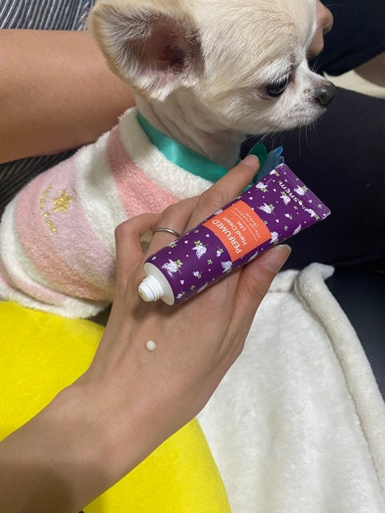 ハンドクリーム チェリーブロッサム 日本限定 チェリーブロッサム/Laline/ハンドクリームの画像