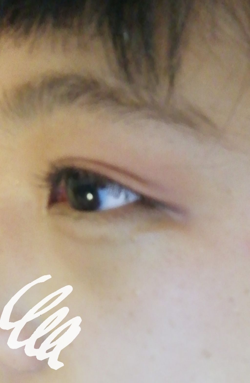 パーフェクトマルチアイズ/キャンメイク/アイシャドウパレットを使ったクチコミ（1枚目）