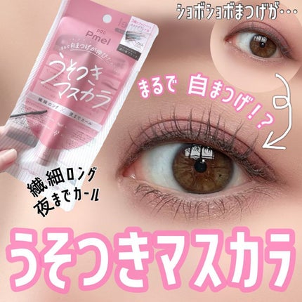 ピメル うそつきマスカラ/pdc/マスカラを使ったクチコミ(1枚目)