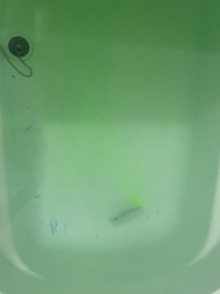 にごり湯の醍醐味/日本の名湯/無機塩系入浴剤を使ったクチコミ(4枚目)