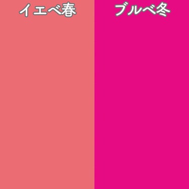   パーソナルカラー診断/Visée/その他を使ったクチコミ（3枚目）