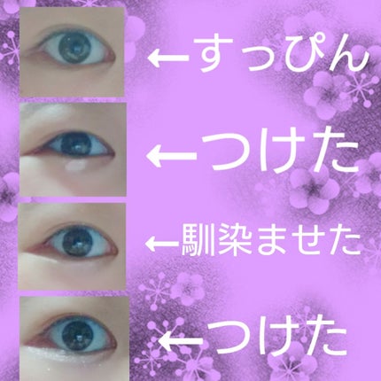 【旧品】パーフェクトスタイリストアイズ/キャンメイク/アイシャドウパレットを使ったクチコミ(2枚目)