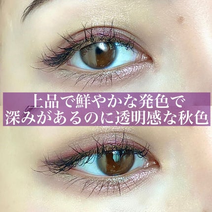 シグニチャー カラー アイズ/SUQQU/アイシャドウパレットを使ったクチコミ(2枚目)