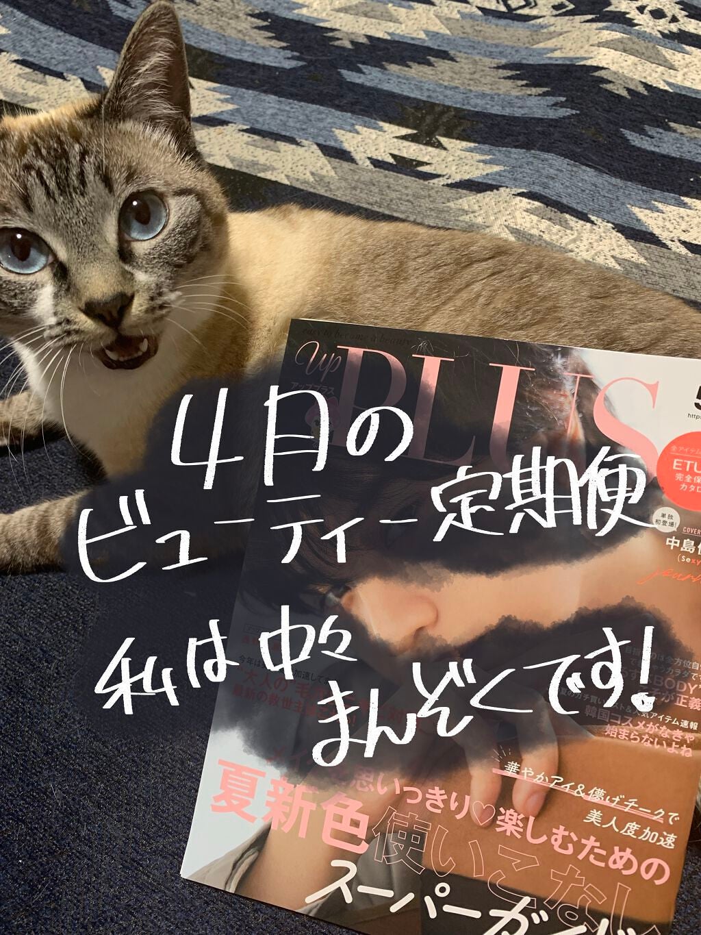 ビューティー定期便/bea’s up beauty book (ビーズアップ ビューティブック)/その他キットセットを使ったクチコミ(1枚目)