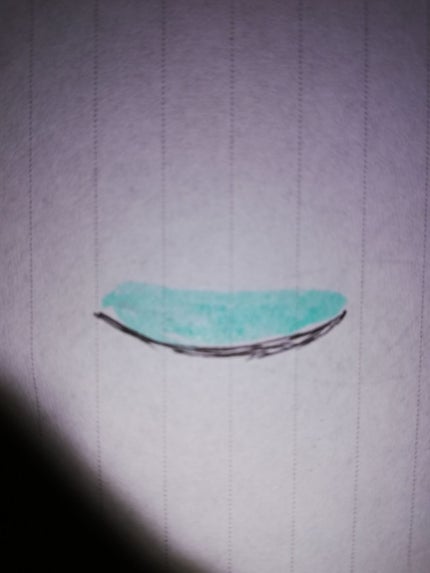 ルドゥーブル/ルドゥーブル/二重まぶた用アイテムを使ったクチコミ(3枚目)