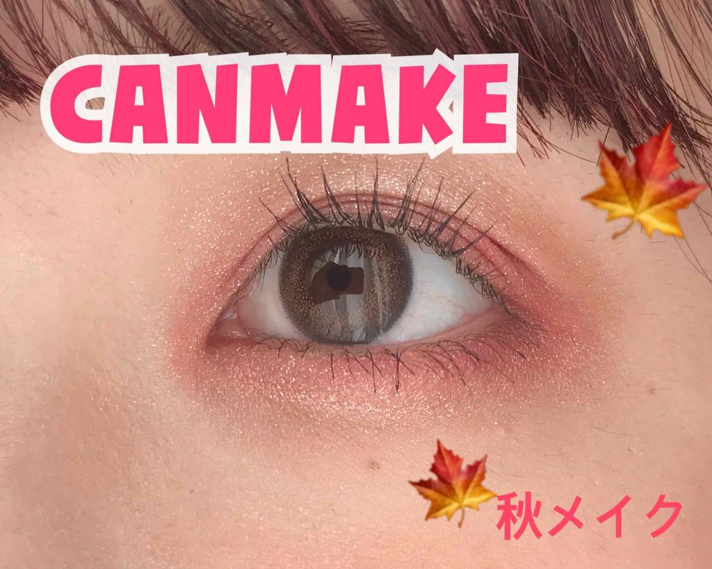 【旧品】パーフェクトスタイリストアイズ/キャンメイク/アイシャドウパレットを使ったクチコミ（1枚目）